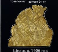 Изображение спил метеорита Муонионалуста, протравленный, покрытый золотом