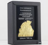 Изображение спил метеорита Муонионалуста, протравленный, покрытый золотом