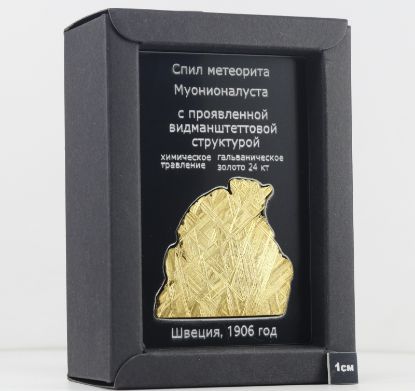 Изображение спил метеорита Муонионалуста, протравленный, покрытый золотом