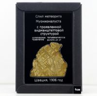 Изображение спил метеорита Муонионалуста, протравленный, покрытый золотом
