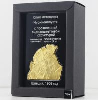 Изображение спил метеорита Муонионалуста, протравленный, покрытый золотом
