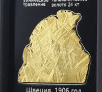 Изображение спил метеорита Муонионалуста, протравленный, покрытый золотом