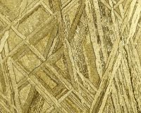 Изображение спил метеорита Муонионалуста, протравленный, покрытый золотом