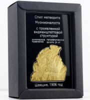 Изображение спил метеорита Муонионалуста, протравленный, покрытый золотом
